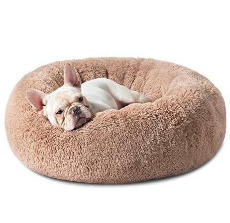 Beds For French Bulldog