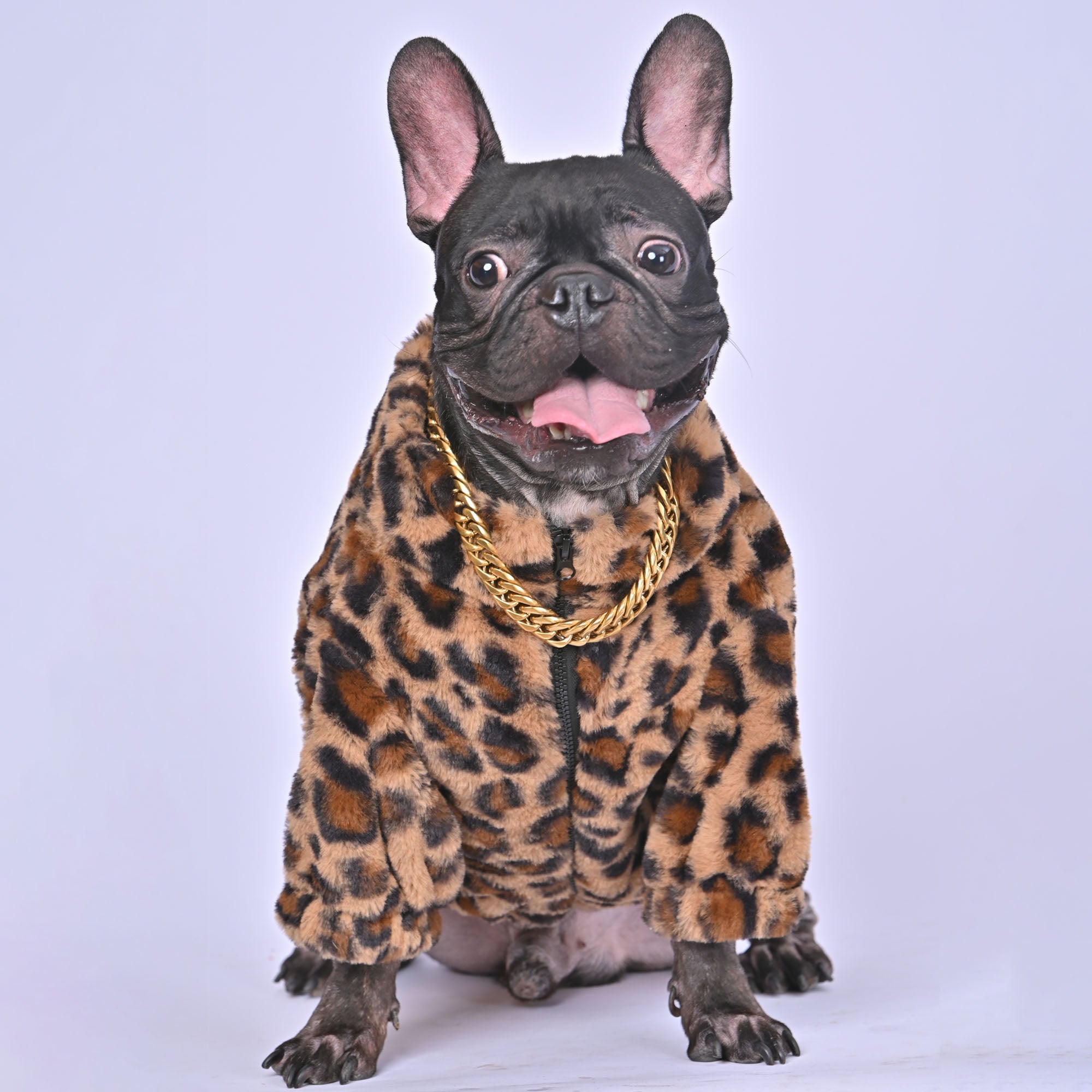 french bulldog clothes, frenchie clothes, bulldog clothing store,french bulldog harness, jackets specifically for bulldogs