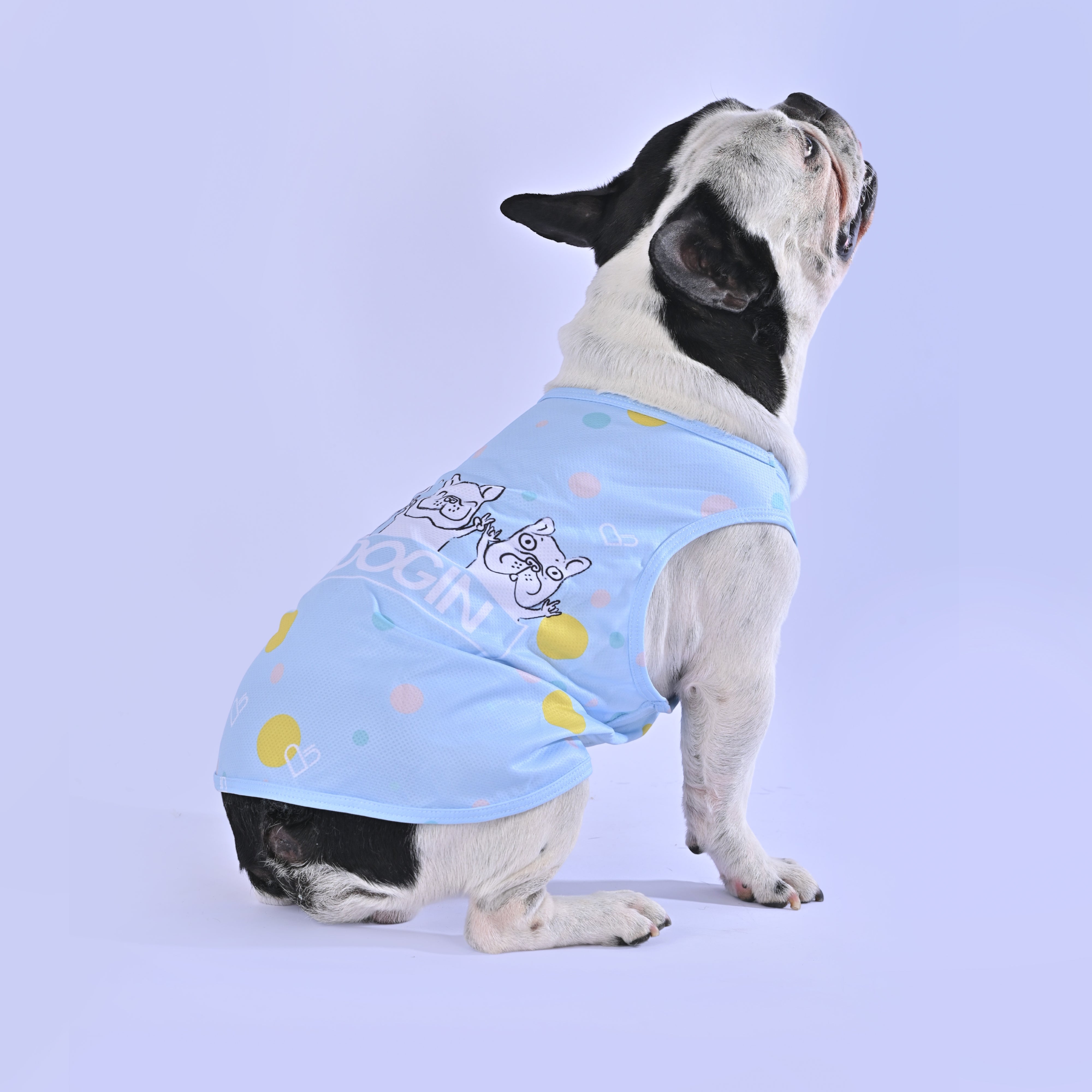 Coolify™: Summer Cooling Vest (CS17) - Frenchie Bulldog Shop