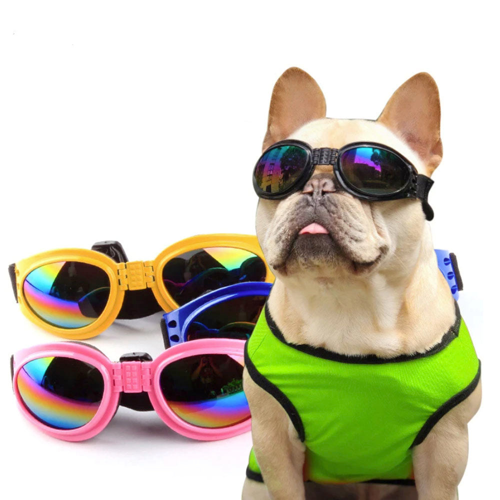 waterproof Goggles for Frenchies (WS04) - Frenchie Bulldog Shop