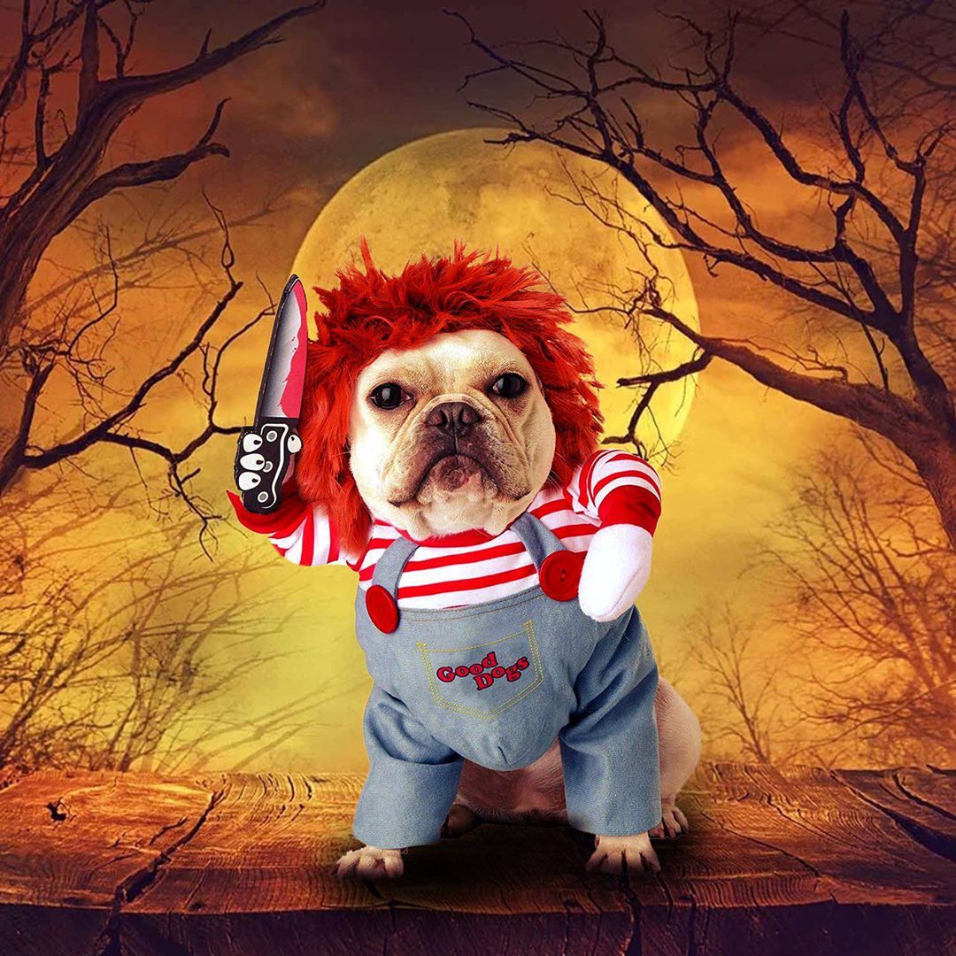 Chucky Costume For French Bulldog (WS44) - Frenchie Bulldog Shop